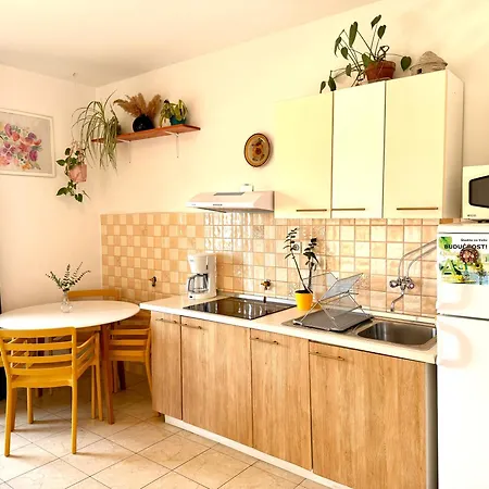 Apartment Spacious By The Sea 8+4