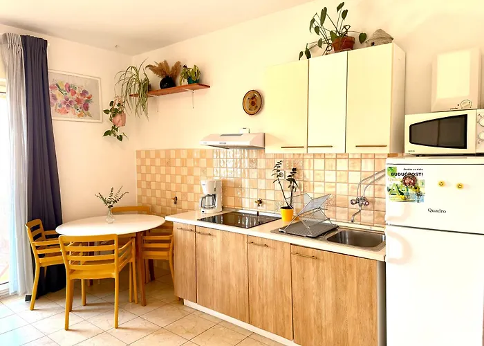 Apartment Spacious By The Sea 8+4