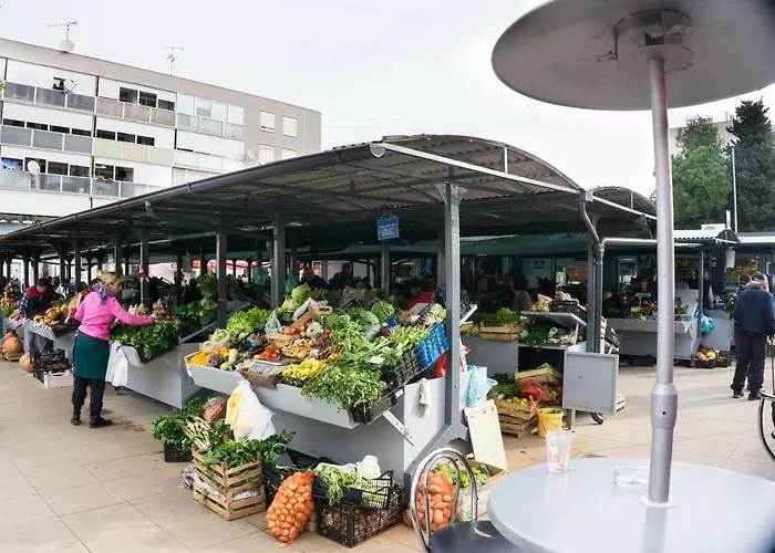 Apartment Spacious By The Sea 8+4 Pula